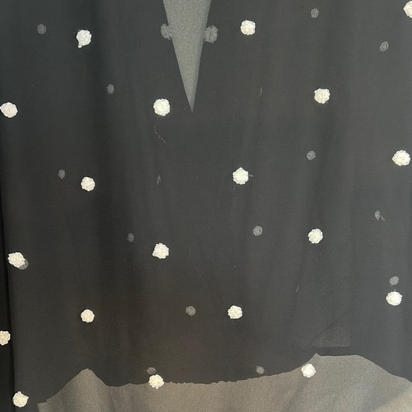 Black Sheer Polka Dot Blouse - Picture 5 of 6